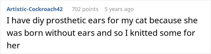 A screenshot of a Reddit comment where a user shares making DIY prosthetic ears for their cat born without them. A screenshot of a Reddit comment where a user shares making DIY prosthetic ears for their cat born without them.
