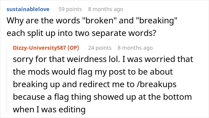 Comment section discussing the post about the relationship red flags and a hidden laptop. Comment section discussing the post about the relationship red flags and a hidden laptop.