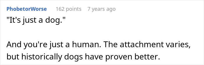 A screenshot of a Reddit comment refuting the idea of 'just a dog' in relation to the MIL kicking a senior dog. A screenshot of a Reddit comment refuting the idea of 'just a dog' in relation to the MIL kicking a senior dog.
