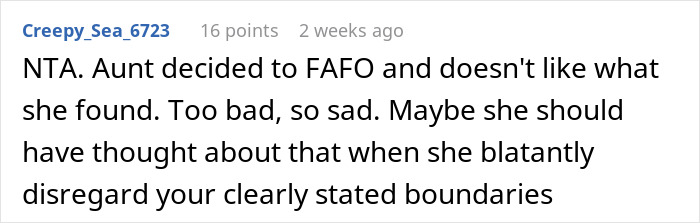 A Reddit comment about the aunt's actions regarding the family free table tradition.