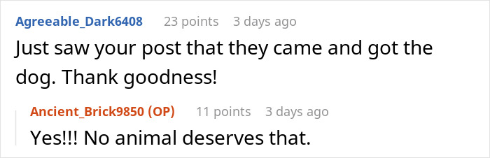 Comments about an animal rescued from a squatter's filthy property. Comments about an animal rescued from a squatter's filthy property.