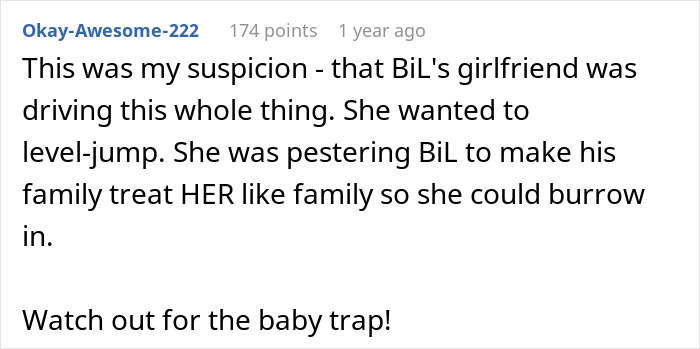 A Reddit comment expressing suspicion about the brother-in-law's girlfriend driving a wedding dispute with in-laws. A Reddit comment expressing suspicion about the brother-in-law's girlfriend driving a wedding dispute with in-laws.