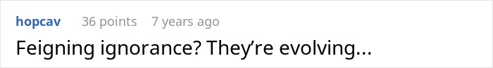 A comment on a social media post asking if the mother is feigning ignorance in the plane seat incident. A comment on a social media post asking if the mother is feigning ignorance in the plane seat incident.