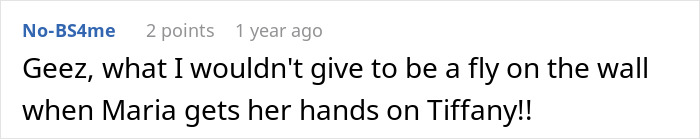 A screenshot of a comment from No-BS4me hoping for justice for a babysitter bullied by an aunt.