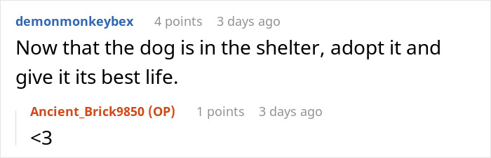 A comment about a dog in a shelter related to the squatter turning empty property into a filthy nightmare. A comment about a dog in a shelter related to the squatter turning empty property into a filthy nightmare.