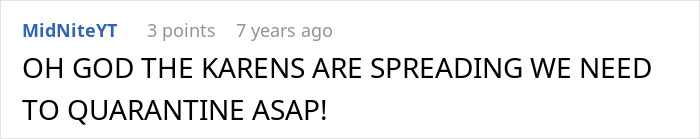 A Reddit comment saying, OH GOD THE KARENS ARE SPREADING WE NEED TO QUARANTINE ASAP!, related to the plane seat incident. A Reddit comment saying, OH GOD THE KARENS ARE SPREADING WE NEED TO QUARANTINE ASAP!, related to the plane seat incident.