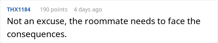 Reddit user comment: Not an excuse, the roommate needs to face the consequences. Roommate destroyed home. Reddit user comment: Not an excuse, the roommate needs to face the consequences. Roommate destroyed home.