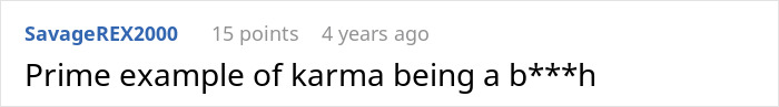 A comment describing the situation as a prime example of karma for elderly passengers stealing plane seats. A comment describing the situation as a prime example of karma for elderly passengers stealing plane seats.