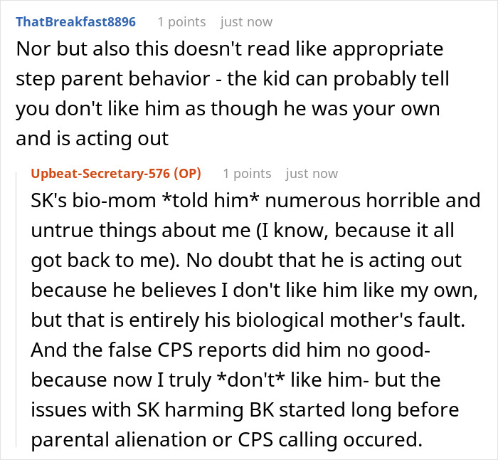 Stepson Keeps Bullying Woman’s 5YO, Dad Calls It “Boys Being Boys”, She Kicks Them Both Out Stepson Keeps Bullying Woman’s 5YO, Dad Calls It “Boys Being Boys”, She Kicks Them Both Out