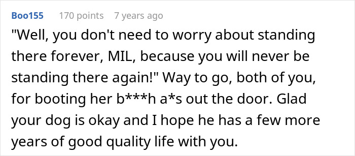 A screenshot of a Reddit comment praising the removal of the MIL after demanding grandchildren and kicking a senior dog. A screenshot of a Reddit comment praising the removal of the MIL after demanding grandchildren and kicking a senior dog.