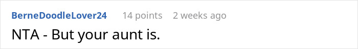 A Reddit comment stating that the aunt is at fault regarding the free table tradition.