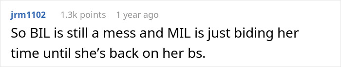 A Reddit comment on a wedding dispute about the brother-in-law being a mess and the mother-in-law's future actions. A Reddit comment on a wedding dispute about the brother-in-law being a mess and the mother-in-law's future actions.