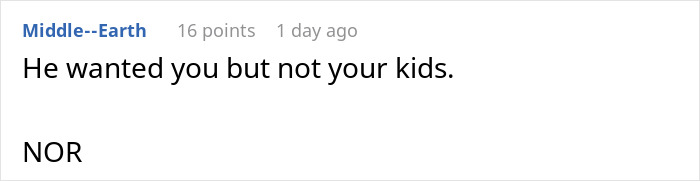 Screenshot of a comment: 'He wanted you but not your kids. NOR'. This depicts a man who wants to be with his GF but not her children. Screenshot of a comment: 'He wanted you but not your kids. NOR'. This depicts a man who wants to be with his GF but not her children.