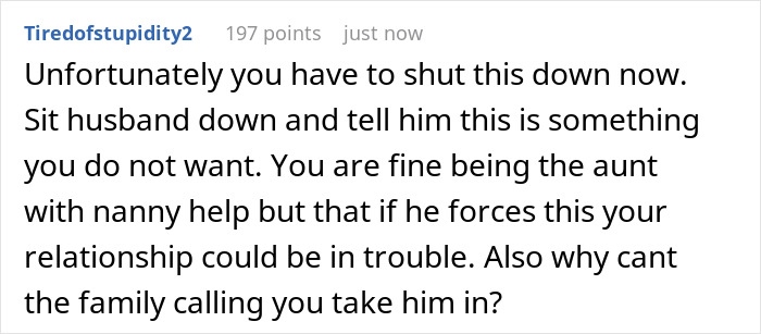 A screenshot of a comment advising a wife to firmly state she won't be the primary caregiver for her husband's orphaned nephew. A screenshot of a comment advising a wife to firmly state she won't be the primary caregiver for her husband's orphaned nephew.