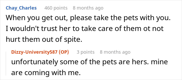 Comments discussing the safety of pets in a relationship with red flags, after a laptop was hidden out of spite. Comments discussing the safety of pets in a relationship with red flags, after a laptop was hidden out of spite.
