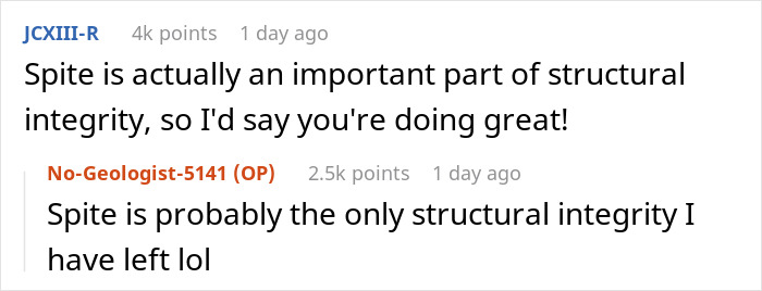 Comments discussing spite as an important part of structural integrity for woman's disability