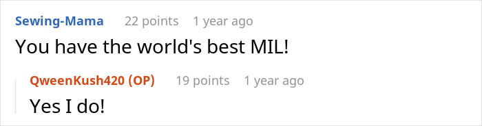 A comment stating You have the worlds best MIL! in response to a cheating husband and his petty mom. A comment stating You have the worlds best MIL! in response to a cheating husband and his petty mom.
