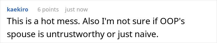 A screenshot of a Reddit comment describing the situation as a 'hot mess' where an affair is exposed. A screenshot of a Reddit comment describing the situation as a 'hot mess' where an affair is exposed.