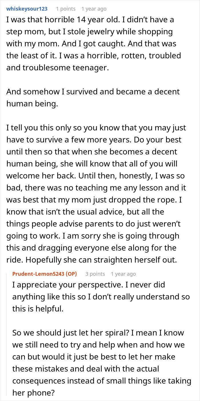 A Reddit comment from someone sharing their personal experience with a troublesome teenager, offering advice to a woman with drama with her husband's kid. A Reddit comment from someone sharing their personal experience with a troublesome teenager, offering advice to a woman with drama with her husband's kid.