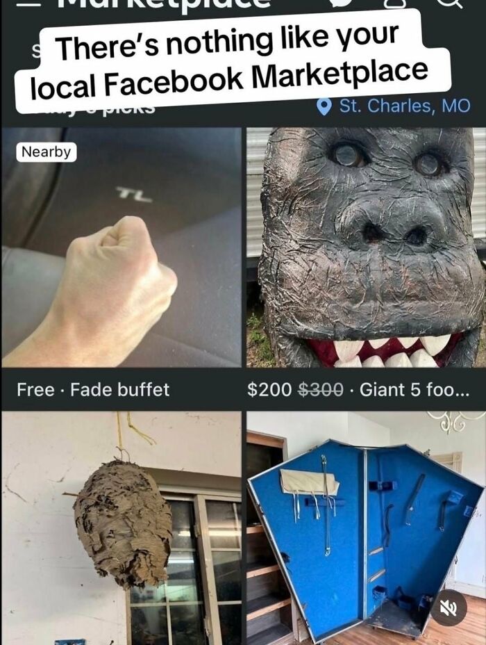 A screenshot of a Facebook Marketplace featuring various unusual listings, highlighting people's low IQ. 