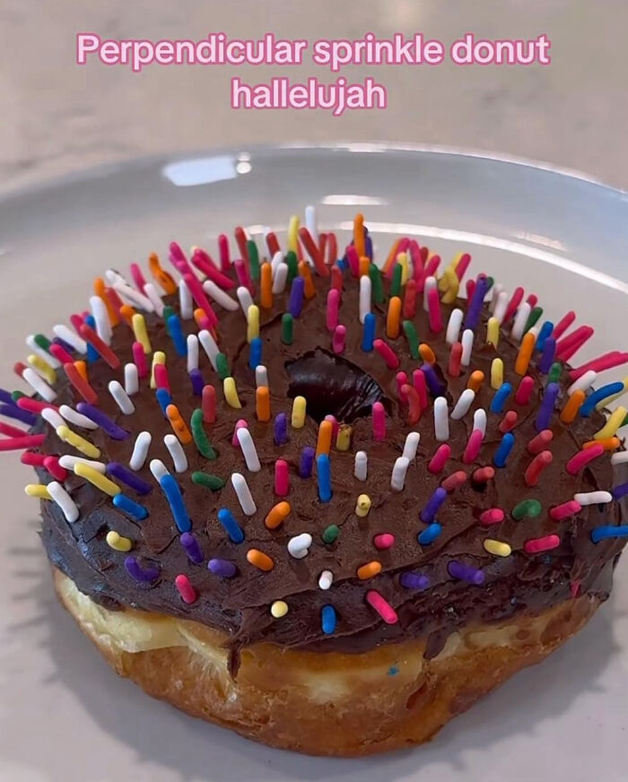 A chocolate donut with sprinkles sticking straight up, a funny image of dumb people on the internet.