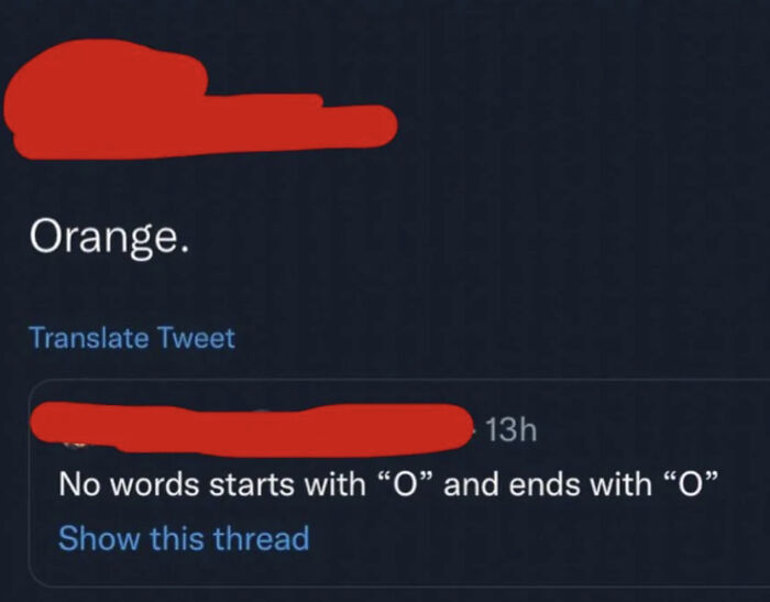Screenshot of a tweet where someone incorrectly states no word starts and ends with O, highlighting dumb people online.
