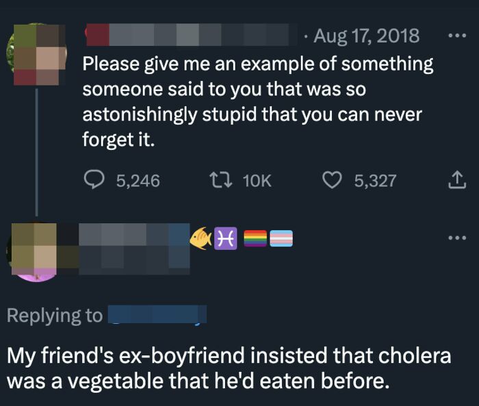 A tweet asking for an example of something astonishingly stupid someone said, with a reply about a dumb person thinking cholera is a vegetable, showcasing low IQ.