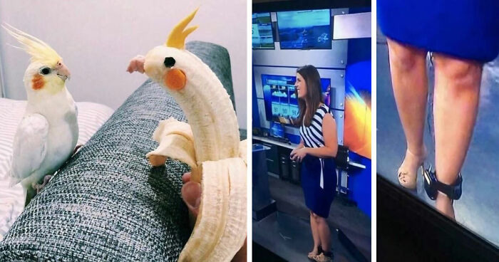 “Hmmm”: 89 Pics That People Cannot Explain, Nor Can They Forget