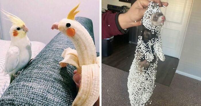 “Hmmm”: 89 Pics That People Cannot Explain, Nor Can They Forget