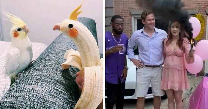 “Hmmm”: 89 Pics That People Cannot Explain, Nor Can They Forget