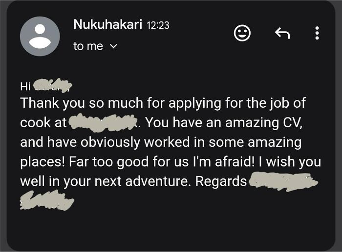 An email showing corporate absurdity, where a job applicant is told they are too good for the position, satirizing the absurdity of corporate hiring practices.