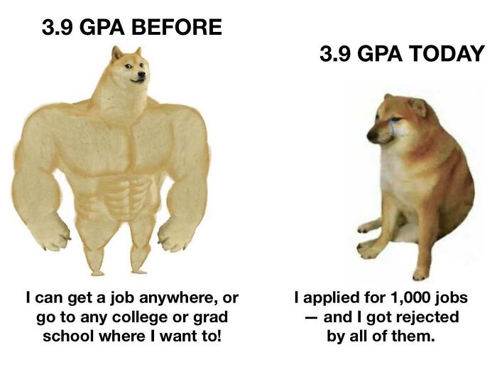 Meme comparing a strong doge labeled 3.9 GPA BEFORE to a sad doge labeled 3.9 GPA TODAY, showing the stark reality of corporate absurdity.