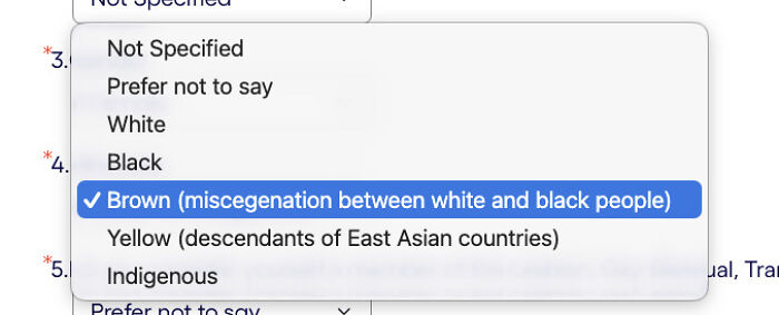 Screenshot of a dropdown menu with offensive racial terms, part of corporate absurdity.