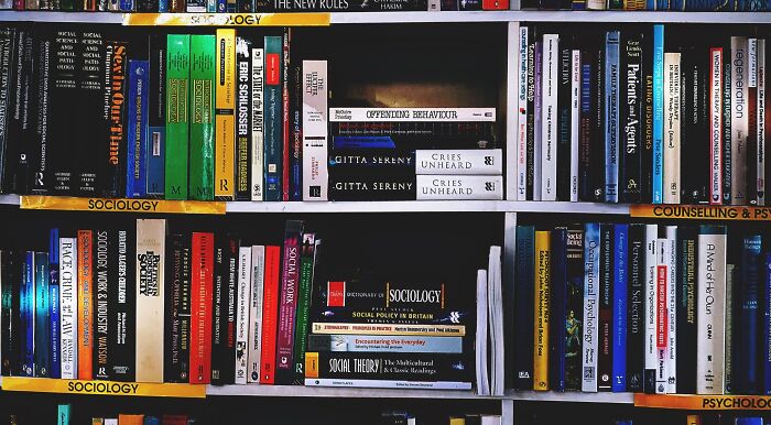 A bookshelf full of books, showcasing various literary works. Perfect for a literary expert identifying famous book titles.