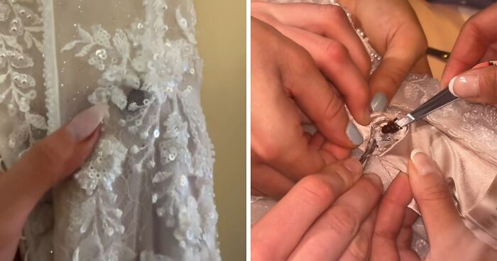 “That Is Witchcraft”: Bride Receives Foreboding Warning After Revealing What Tailor Sewed Into Her Wedding Dress