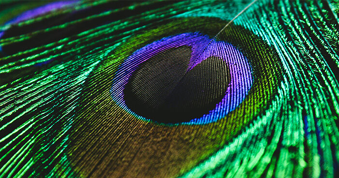 Scientists Have Found A Way To Show Humans A New Color Called “Olo,” But Only Five People Have Ever Seen It