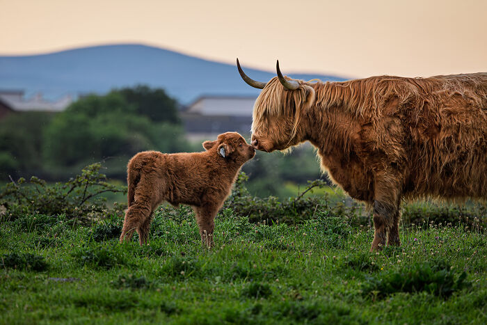 Smooch By Antti Valos