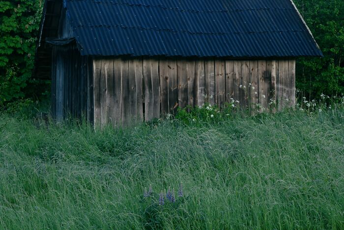 An old wooden shack in tall grass, a strange experience that still makes people shiver at the memory.