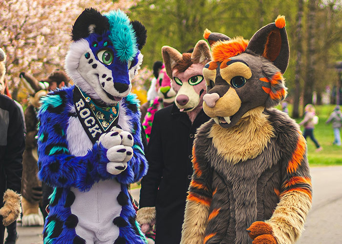 People in elaborate furry costumes, a spectacular example of a cringe midlife crisis.