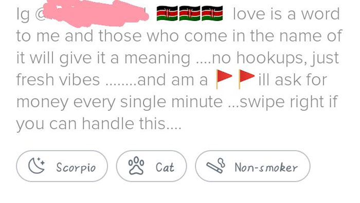 A wild and cringey online dating screenshot showing a bio asking for money every minute, with flags.