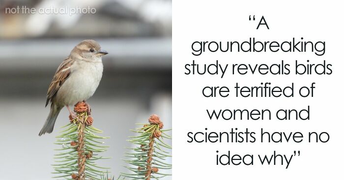 If Your Daily Routine Includes Learning Something New, Here Are 65 Facts You Might Have Missed