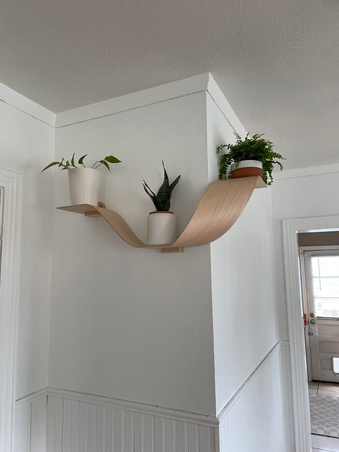 A sleek, curved DIY home project wall shelf holding three potted plants, an example of how you dont need a huge budget for transformations.