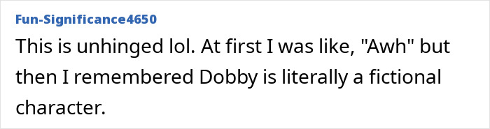 A comment from Fun-Significance4650 finding the situation unhinged, remembering Dobby is fictional, prompting Harry Potter fans to reroute a $500M undersea cable.