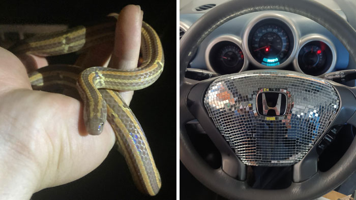 55 Clueless People That Could Be Nominated For Darwin Awards (New Pics)