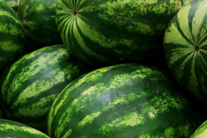 Questionable Instacart shoppers selecting watermelons, potentially choosing unripe fruit.