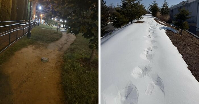 97 Times Urban Planners Failed To Predict What People Want, And It Resulted In ‘Desire Paths’ (New Pics)