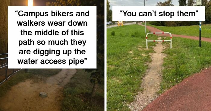 97 Times Urban Planners Failed To Predict What People Want, And It Resulted In ‘Desire Paths’ (New Pics)