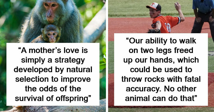 45 Facts That Might Teach You Something New About Human Evolution And The Universe