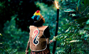 45 Facts That Might Teach You Something New About Human Evolution And The Universe