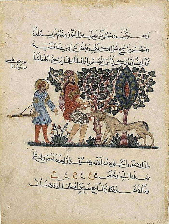 An ancient manuscript shows terrifying tools and methods doctors used in the past, with figures near trees and a lion.
